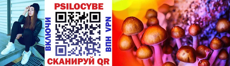 Галлюциногенные грибы Magic Shrooms магазин продажи наркотиков Хадыженск